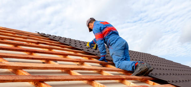 Best Metal Roofing Installation  in Clayton, NM